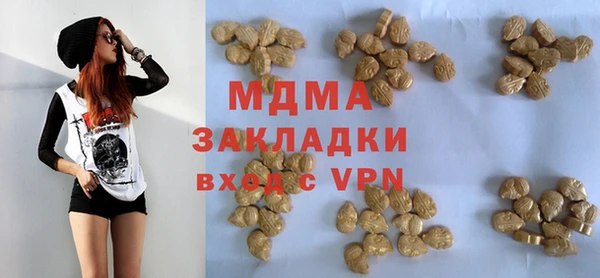 индика Арсеньев