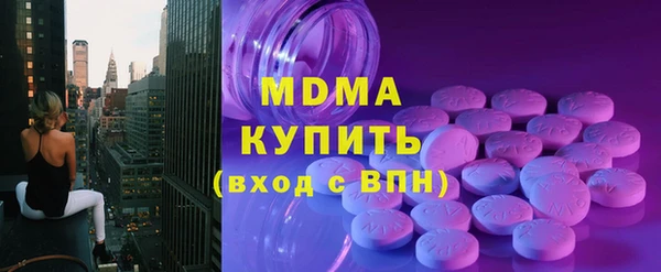 индика Арсеньев
