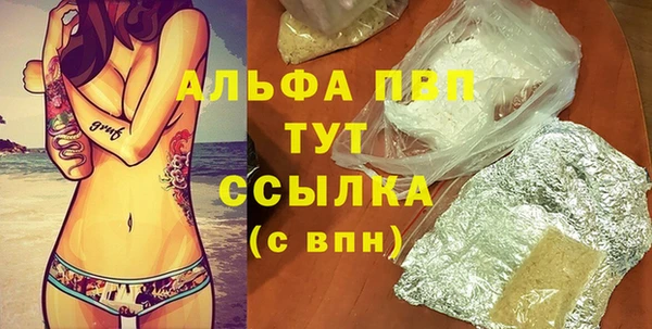индика Арсеньев
