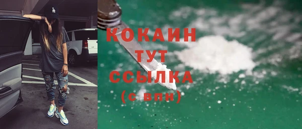 индика Арсеньев