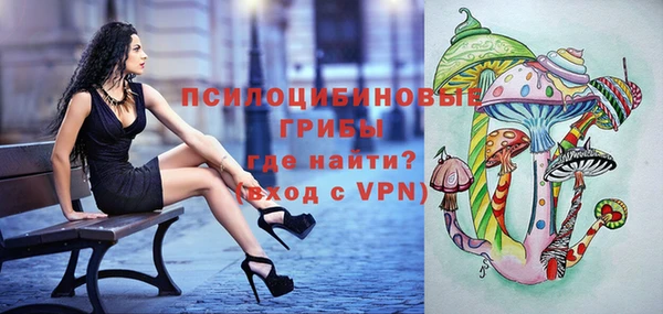 индика Арсеньев