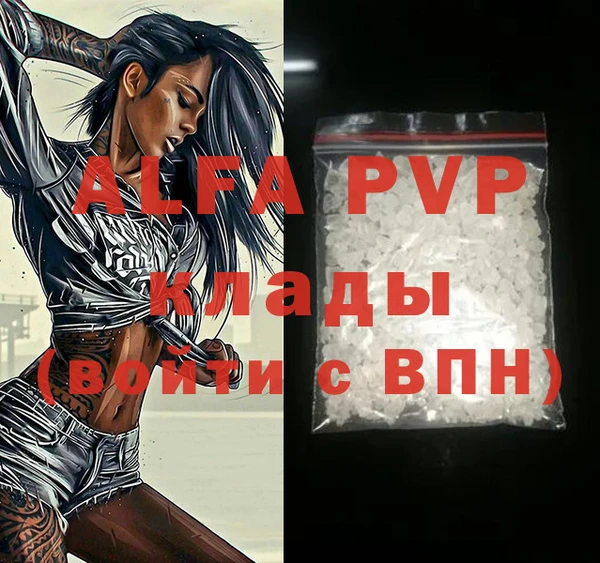индика Арсеньев