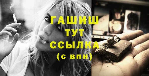 индика Арсеньев