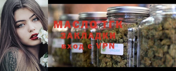 индика Арсеньев