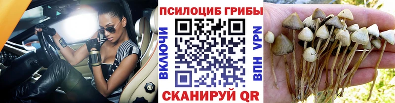 Псилоцибиновые грибы Magic Shrooms  Солигалич 